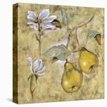 Vintage Blossoms II-Giovanni-Stretched Canvas