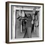 Giovannino Guareschi Checking Some Salami-null-Framed Photographic Print