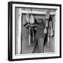 Giovannino Guareschi Checking Some Salami-null-Framed Photographic Print