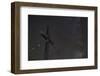 Gipfelkreuz of Pirchkogel with Galaxies Detail-Niki Haselwanter-Framed Photographic Print