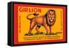 Gir Lion-null-Framed Stretched Canvas