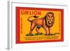 Gir Lion-null-Framed Art Print