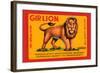 Gir Lion-null-Framed Art Print