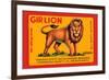 Gir Lion-null-Framed Art Print