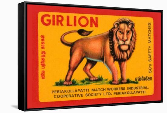 Gir Lion-null-Framed Stretched Canvas