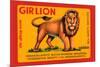 Gir Lion-null-Mounted Premium Giclee Print