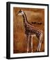 Girafe-Olga Ilic-Framed Art Print