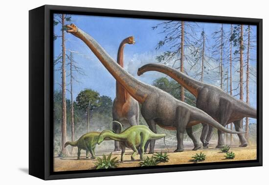 Giraffatitan and Dicraeosaurus Dinosaurs Grazing in a Prehistoric Environment-null-Framed Stretched Canvas