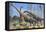 Giraffatitan and Dicraeosaurus Dinosaurs Grazing in a Prehistoric Environment-null-Framed Stretched Canvas