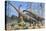 Giraffatitan and Dicraeosaurus Dinosaurs Grazing in a Prehistoric Environment-null-Stretched Canvas