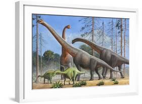 Giraffatitan and Dicraeosaurus Dinosaurs Grazing in a Prehistoric Environment-null-Framed Art Print