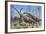 Giraffatitan and Dicraeosaurus Dinosaurs Grazing in a Prehistoric Environment-null-Framed Art Print