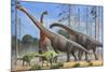 Giraffatitan and Dicraeosaurus Dinosaurs Grazing in a Prehistoric Environment-null-Mounted Art Print