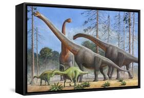 Giraffatitan and Dicraeosaurus Dinosaurs Grazing in a Prehistoric Environment-null-Framed Stretched Canvas