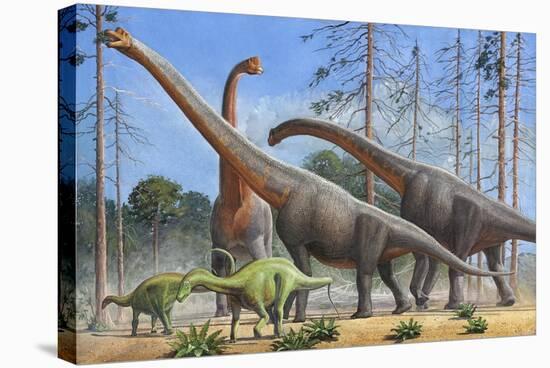 Giraffatitan and Dicraeosaurus Dinosaurs Grazing in a Prehistoric Environment-null-Stretched Canvas