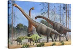 Giraffatitan and Dicraeosaurus Dinosaurs Grazing in a Prehistoric Environment-null-Stretched Canvas