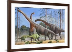 Giraffatitan and Dicraeosaurus Dinosaurs Grazing in a Prehistoric Environment-null-Framed Premium Giclee Print