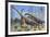 Giraffatitan and Dicraeosaurus Dinosaurs Grazing in a Prehistoric Environment-null-Framed Premium Giclee Print