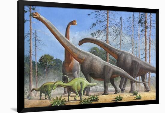 Giraffatitan and Dicraeosaurus Dinosaurs Grazing in a Prehistoric Environment-null-Framed Art Print