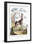 Giraffe, 1794-null-Framed Giclee Print