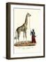 Giraffe, 1824-Karl Joseph Brodtmann-Framed Giclee Print