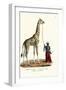 Giraffe, 1824-Karl Joseph Brodtmann-Framed Giclee Print