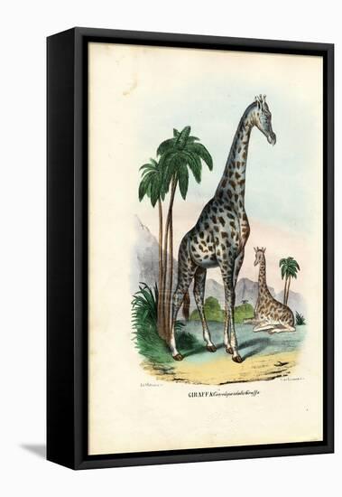 Giraffe, 1863-79-Raimundo Petraroja-Framed Stretched Canvas