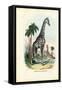 Giraffe, 1863-79-Raimundo Petraroja-Framed Stretched Canvas