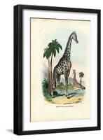 Giraffe, 1863-79-Raimundo Petraroja-Framed Giclee Print