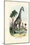 Giraffe, 1863-79-Raimundo Petraroja-Mounted Giclee Print