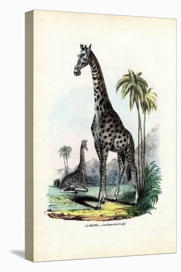 Giraffe, 1863-79-Raimundo Petraroja-Stretched Canvas