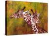 Giraffe, 1997-Odile Kidd-Stretched Canvas
