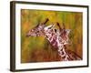 Giraffe, 1997-Odile Kidd-Framed Giclee Print