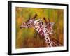 Giraffe, 1997-Odile Kidd-Framed Giclee Print