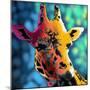 Giraffe 1-Marlene Watson-Mounted Giclee Print