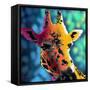 Giraffe 1-Marlene Watson-Framed Stretched Canvas