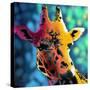 Giraffe 1-Marlene Watson-Stretched Canvas