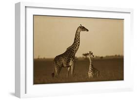 Giraffe adult and foal on savanna, Kenya - Sepia-Tim Fitzharris-Framed Art Print