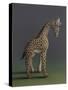 Giraffe - After Agasse, 2019,-Peter Jones-Stretched Canvas