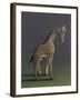 Giraffe - After Agasse, 2019,-Peter Jones-Framed Giclee Print