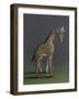 Giraffe - After Agasse, 2019,-Peter Jones-Framed Giclee Print