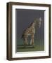 Giraffe - After Agasse, 2019,-Peter Jones-Framed Giclee Print
