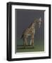 Giraffe - After Agasse, 2019,-Peter Jones-Framed Giclee Print