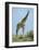Giraffe against the Blue Sky-Martin Fowkes-Framed Giclee Print