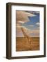 Giraffe, Amboseli National Park, Amboseli Nation Park, Africa-John Wilson-Framed Photographic Print