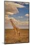 Giraffe, Amboseli National Park, Amboseli Nation Park, Africa-John Wilson-Mounted Photographic Print