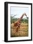 Giraffe and Baby-null-Framed Art Print