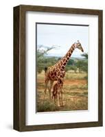 Giraffe and Baby-null-Framed Art Print