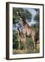 Giraffe and Baby-Lantern Press-Framed Art Print