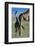 Giraffe and Calf-Paul Souders-Framed Photographic Print